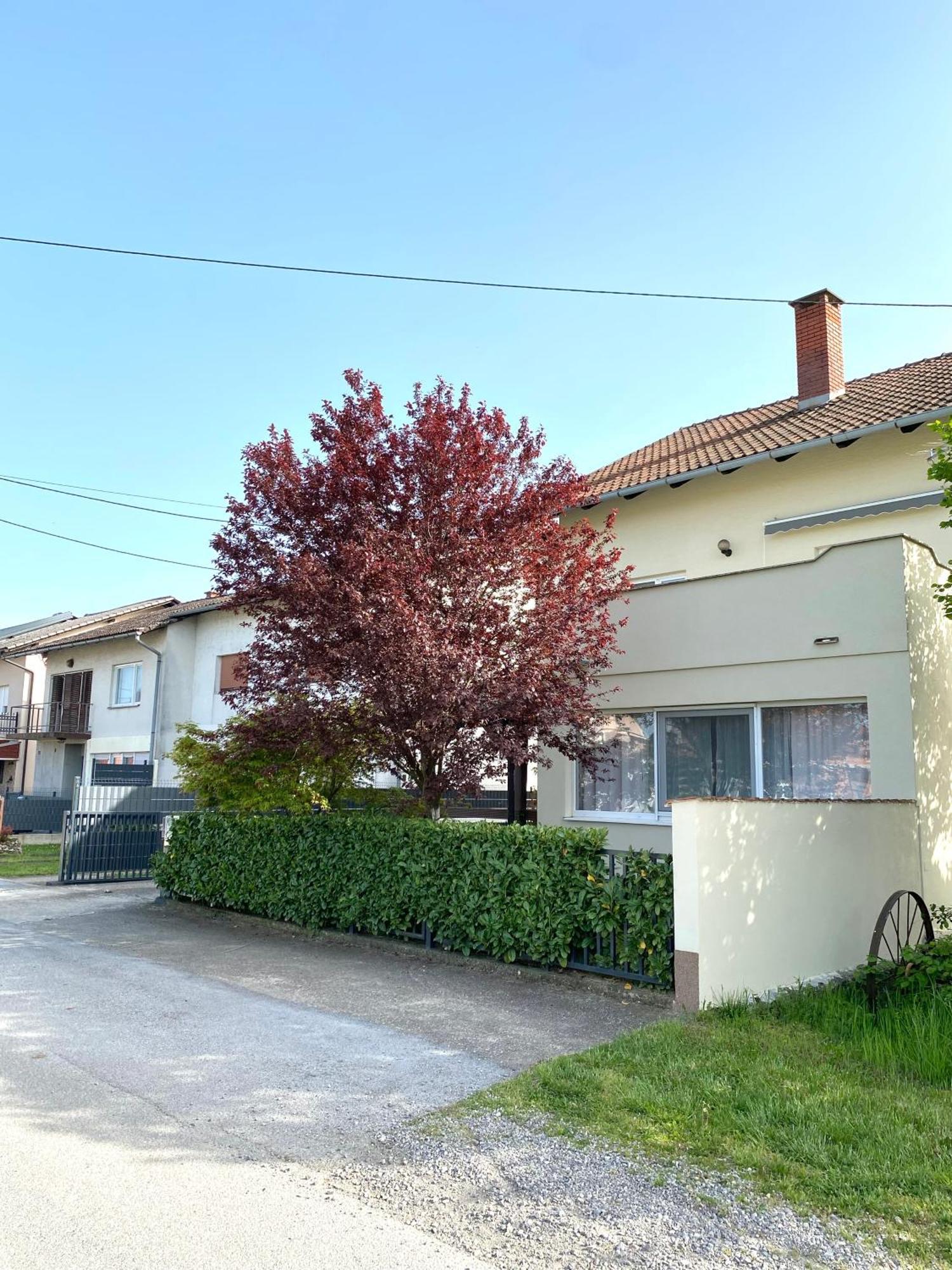 Apartman Lucija Gradici Exterior foto